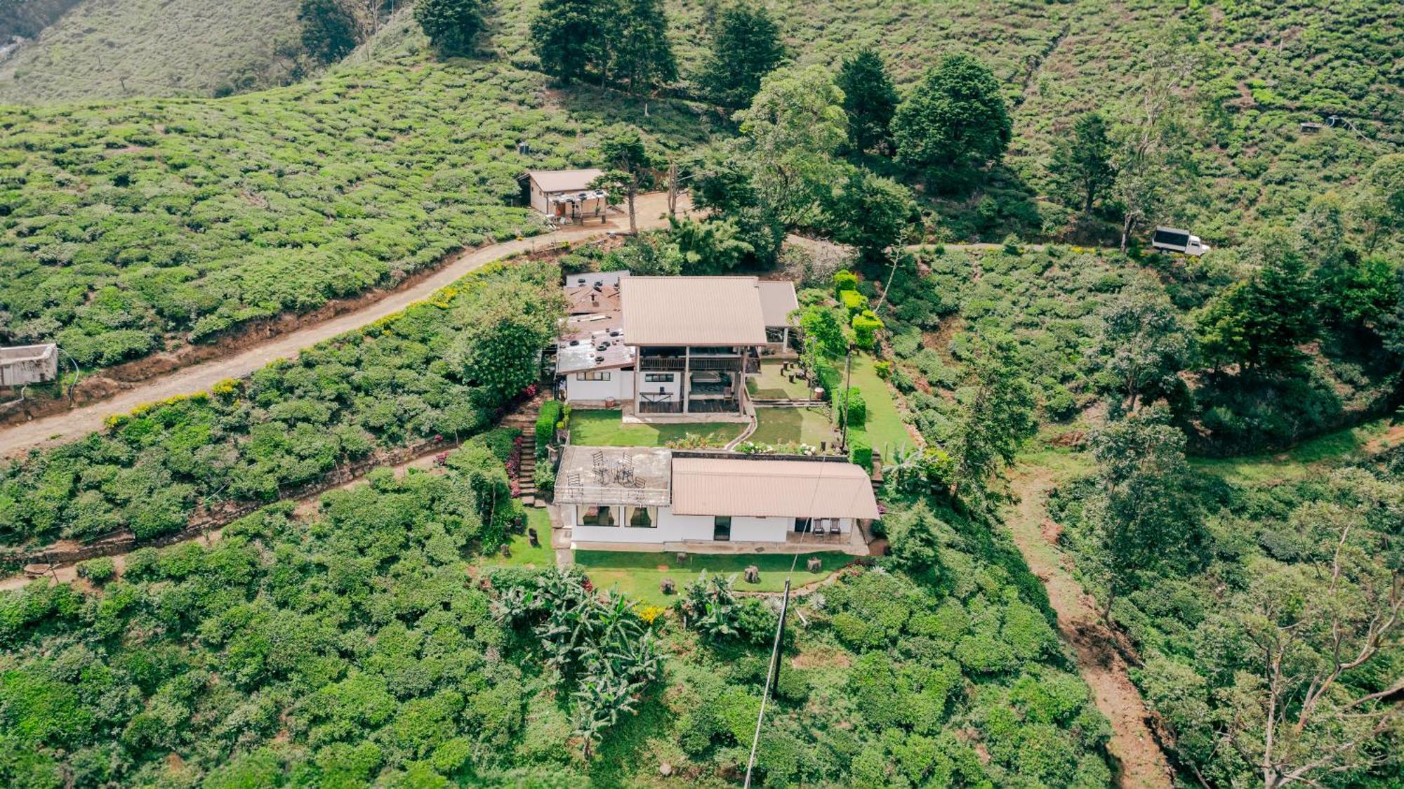 Hill Safari - Tea Estate Villa Ohiya Exteriör bild